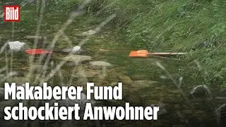 Gruselfund in Filderstadt: Frauenleiche in Koffer verscharrt