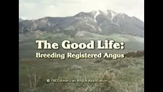 The Good Life׃ Breeding Registered Angus.