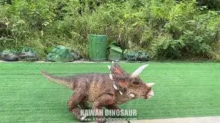 Would You Adopt This Baby Animatronic Dinosaur as Your New Pet?