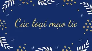 DELF A1: Các loại mạo từ trong tiếng Pháp