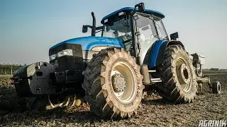PURE SOUND | NEW HOLLAND TM155 + Bivomere BORDIN | Aratura 2018 | 1080p