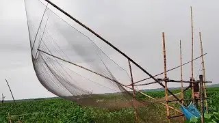 Creative Fish Trap Using BAMBOO !! Expert Fishing Method !! Village Traditional