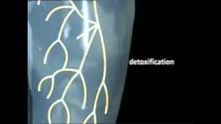 WEYERGANS TV - Vacustyler Information