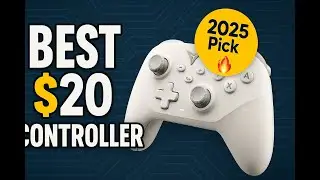Best budget controller under 20USD in 2025? (Flydigi Dune fox)