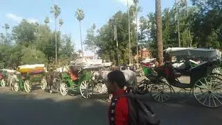 torat pladi