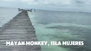 ISLA MUJERES! MEXICO!! Walk through Mayan Monkey, Isla Mujeres, Mexico. #travel #islamujeres #capcut