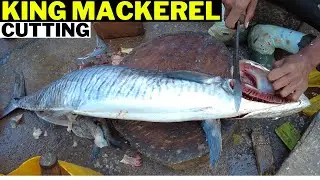 Giant King Mackerel Cutting Skills | Pakistani Style
