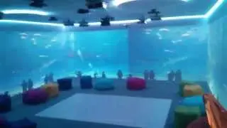 Immersive Interactive Ltd: Create a calming and educational aquarium immersive space