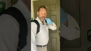 🚫These Cockroaches are Out of Control!🪳