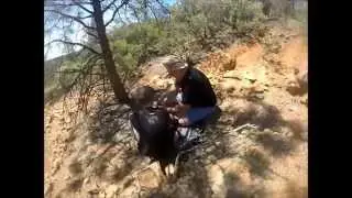 NOR CAL CRAWLERS AXIAL CRAWLER BASH RC HILL CLIMB