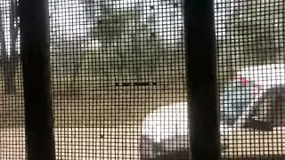 Forest Rest House at Motichur, Rajaji Tiger Reserve.