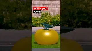 What pops a yoga ball? 🤔