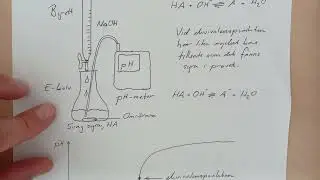 Arvids syrabas-jämvikt - titrerkurva
