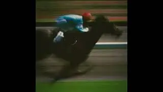 TIF Type Beat 