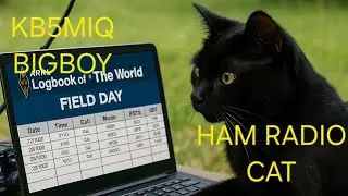 ARRL/LOTW update i got a call from ARRL today!!!!#hamradio #radiocommunication #arrl #mtc