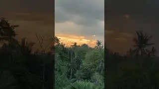 Sun set на Бали #бали #travel #убуд #bali #путешествия #путешествуй