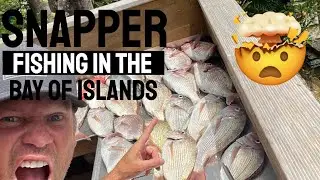Christmas Snapper Fishing - Russell Bay of Islands (SHOCKING TRUTH!!)
