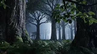 ASMR Night Forest Rain | Deep Sleep Sound Therapy 4K