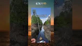 obat tanpa bius 🤣