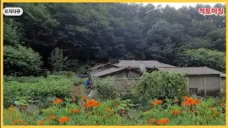 인적없는 산골오지 딱 두가구만 사는 깡촌 할머님 집 홍고추는 늘어놓고 어디로?