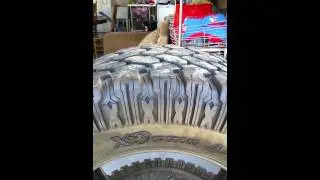 Procomp Xtreme A/T tires