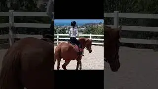 The next big thing. Delta - the next 'Dressage Queen' :) Run all potential Husbands :)