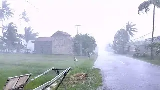 Walking Alone in Village During Heavy Rainstorm with Intense Wind and Deep Thunder ASMR 4K Video 91
