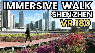vr180cici｜China Travel｜8K Relaxing｜3D VR180 stroll｜Immersive Walk in Shenzhen Bao'an Center中国深圳｜宝安中心