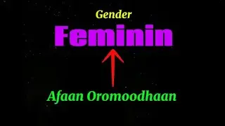 Feminine Gender|Afaan Germany Oromiffaan🇩🇪|Germany in Oromo 
