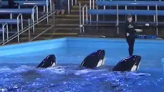 SeaWorld San Antonio Christmas Celebration 2024
