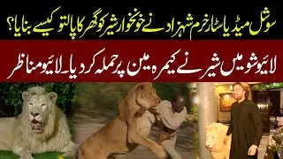 Social Media Star Khurram Gujjar Ny Sher Kesy Paly? Sher Ka Cameraman Pr Hamla. Live Manazir