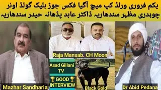 1 feb World Cup Match Fixed Jor dog Name Black Gold Owner Ch Mazhar Sandharia And Dr Abid interview 