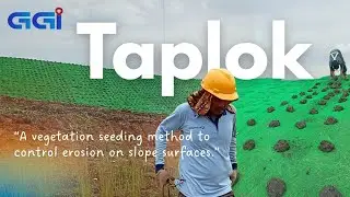 Vegetation Method for Erosion Control #method #bestways  #erosioncontrol #ikn #geosynthetics