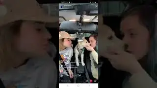 Elyse's live 3rd March (part 4)