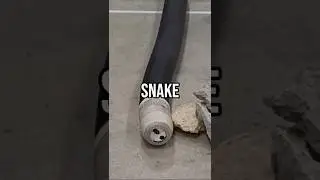 Roboa: The Snake Robot #shorts #tech