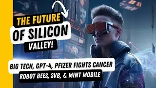 The Future of Silicon Valley: Big Tech Bloodbaths, Billionaires & Bailouts