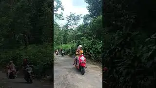 Menelusuri jejak wisata alas pinus