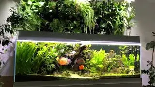 Jak to jest zrobione? 720 litrów z ogrodem wertykalnym.