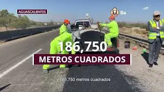 C&aacute;psula 