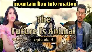The future is animal episode 3 | maintain lion information in Telugu | Puma | panther | catamountain
