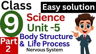 Class 9 Unit 5 Body Structure and Life Process   Nervous System Part-2