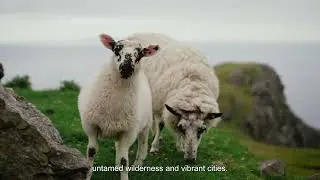 Chieftain Tours Ultimate Ireland Experience Tour