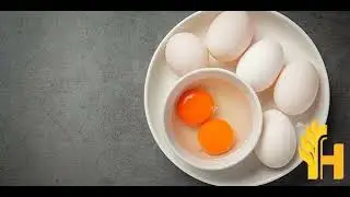 Duck egg prices latest, global prices today - 2022/2023