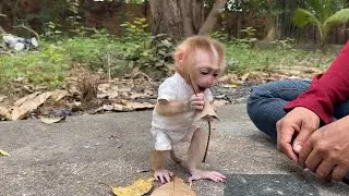 Ronaldo Like Real Human Kid, He Happily To Having Fun Outside ALone