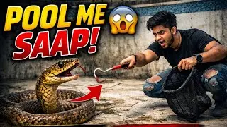 || Swimming Pool Me Gira Indian Rat Snake 😱🐍😳😱 &ldquo;सूखे स्विमिंग पूल में गिरा बहोत बड़ा धामन सांप ||