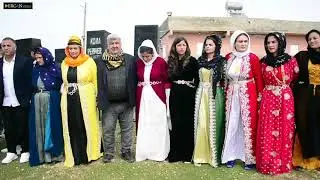 Koma perwer paydar perwer
