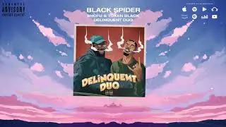 shofu & Token Black - Black Spider (Official Audio)