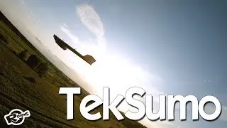 End of summer teksumo WING chasing