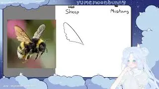 Bug time! [VOD: 2026-01-11]