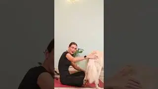 Yoga Pentru Tot Corpul Acasa
